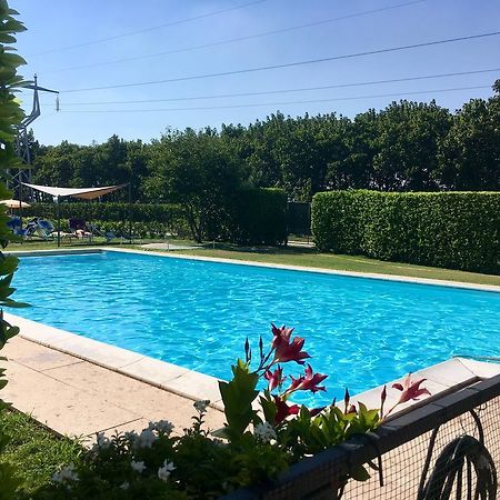 Agriturismo Corte Pellegrini San Martino Buon Albergo Buitenkant foto