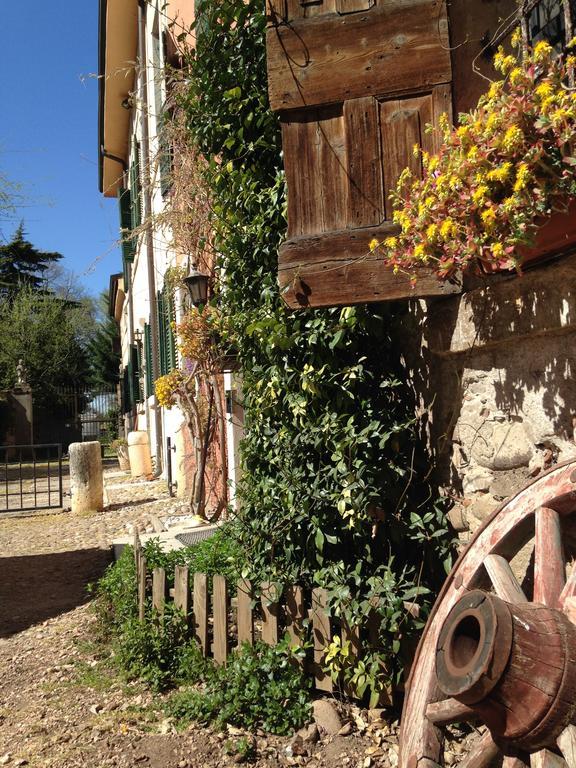 Agriturismo Corte Pellegrini San Martino Buon Albergo Buitenkant foto