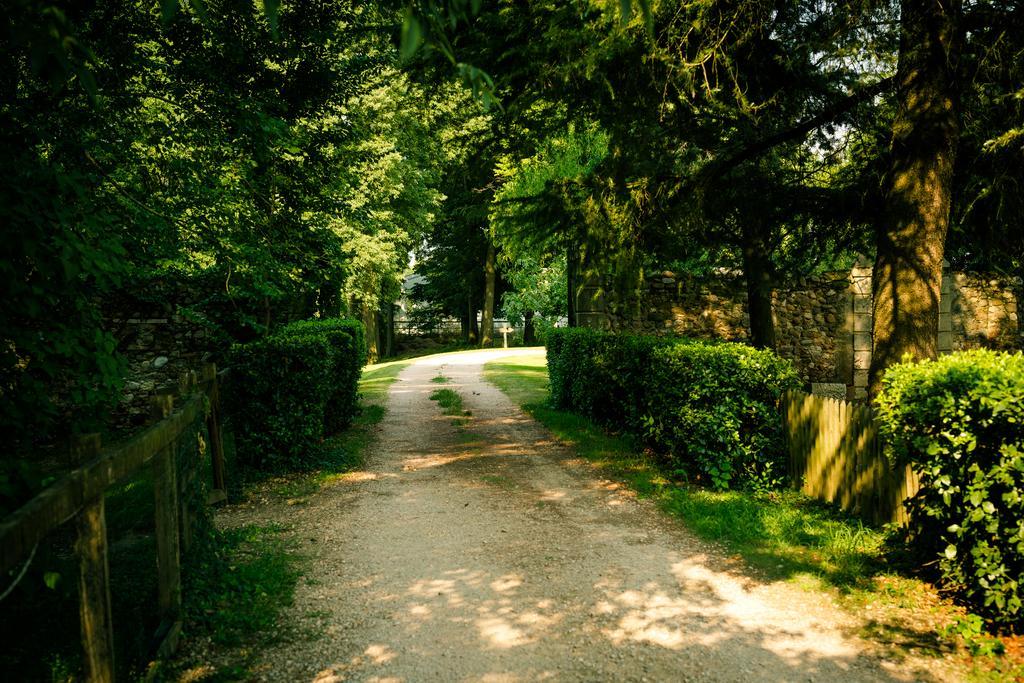 Agriturismo Corte Pellegrini San Martino Buon Albergo Buitenkant foto